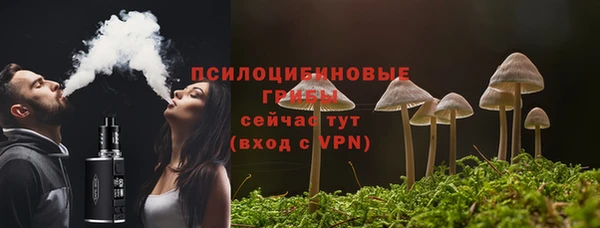 сатива Аркадак